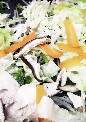 ホットプレートであっさり蒸ししゃぶ-レシピのメイン写真