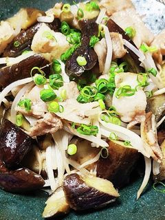 なすと豚バラの塩炒め-レシピのメイン写真