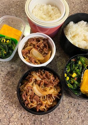 褒められ牛丼弁当。お弁当にも最適！-レシピのメイン写真