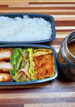 高校生男子お弁当23年6月19日-レシピのメイン写真