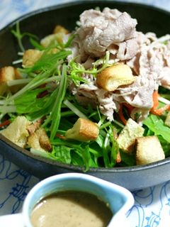 サクサク揚げと水菜のサラダ-レシピのメイン写真