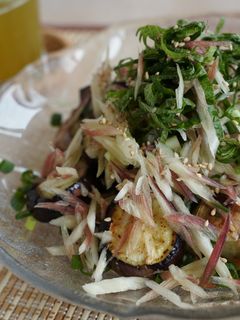 栄養士レシピ*揚げないナスの薬味タレかけ-レシピのメイン写真