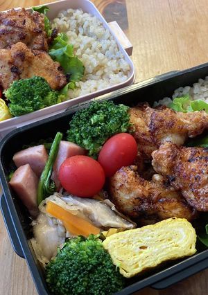 高校生男子弁当338 女子弁当44-レシピのメイン写真