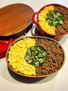 のっけ弁当2023.06.20そぼろ弁当-レシピのメイン写真