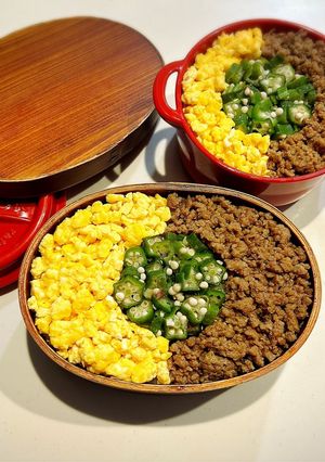 のっけ弁当2023.06.20そぼろ弁当-レシピのメイン写真