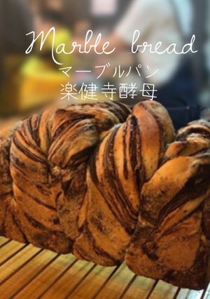 【かこパン♪楽健寺酵母マーブルパン】-レシピのメイン写真