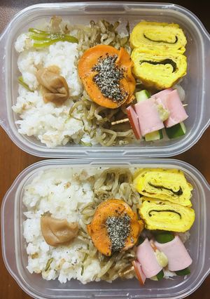 夏向けのお弁当-レシピのメイン写真