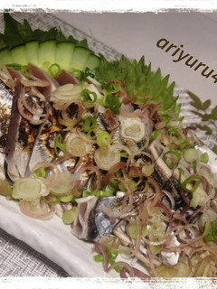 刺身の平切り (鰹のたたき)-レシピのメイン写真