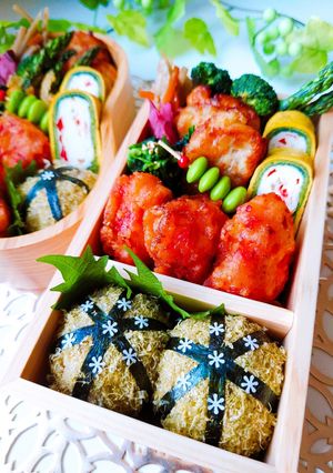 女子学生のお弁当（2023.6.21）-レシピのメイン写真