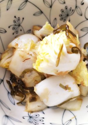 白菜と塩昆布の浅漬け-レシピのメイン写真