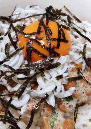納豆しらす丼-レシピのメイン写真