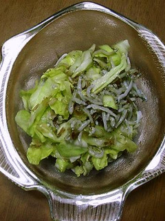 キャベツ★おつまみ-レシピのメイン写真