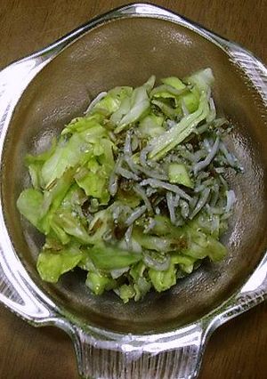 キャベツ★おつまみ-レシピのメイン写真