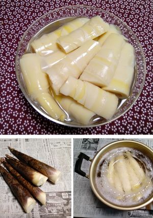 破竹(はちく)の下茹で-レシピのメイン写真