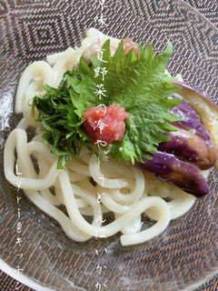 涼味!夏野菜の冷やしうどん♪-レシピのメイン写真