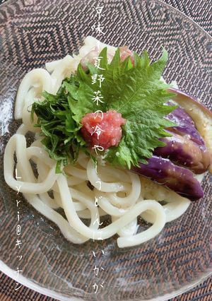 涼味！夏野菜の冷やしうどん♪-レシピのメイン写真