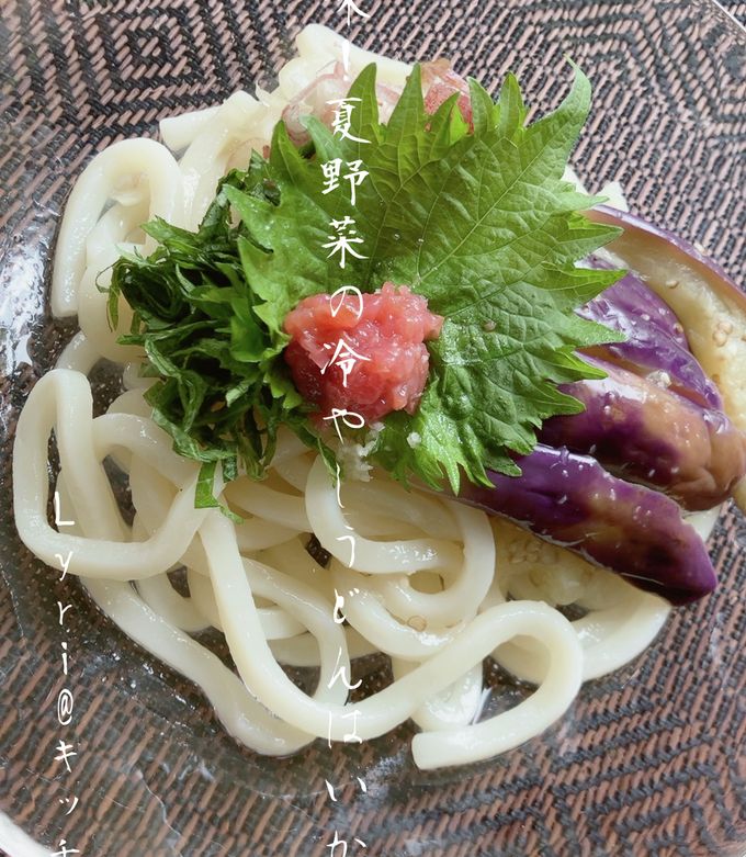 涼味！夏野菜の冷やしうどん♪-レシピのメイン写真