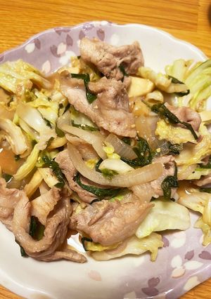 肉野菜の味噌炒め-レシピのメイン写真