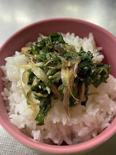 大葉、茗荷で白飯の共!-レシピのメイン写真