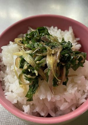 大葉、茗荷で白飯の共！-レシピのメイン写真