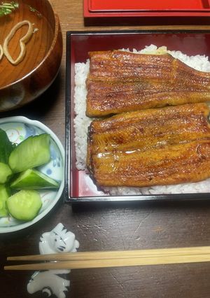 鰻　あたため方-レシピのメイン写真
