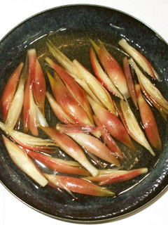 茗荷の甘酢漬け♪お腹の冷えに簡単漢方薬膳-レシピのメイン写真