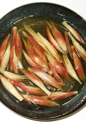茗荷の甘酢漬け♪お腹の冷えに簡単漢方薬膳-レシピのメイン写真