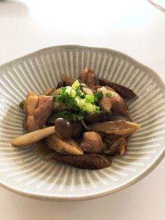 鶏ごぼうの煮物-レシピのメイン写真