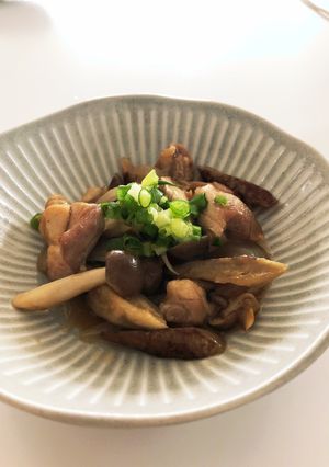 鶏ごぼうの煮物-レシピのメイン写真