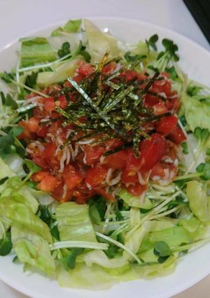 簡単！旨い！和風トマトドレッシングサラダ-レシピのメイン写真