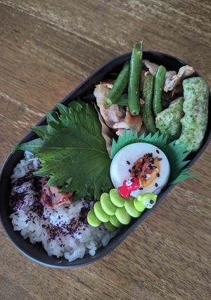 JK☆豚肉戸いんげんの炒め物弁当♪-レシピのメイン写真