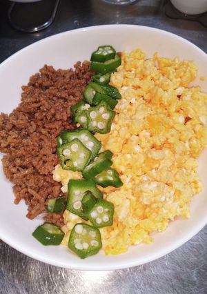 やっぱ肉そぼろ丼だね。-レシピのメイン写真