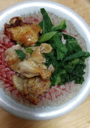 づぼらで美味しい唐揚げ照り焼き-レシピのメイン写真