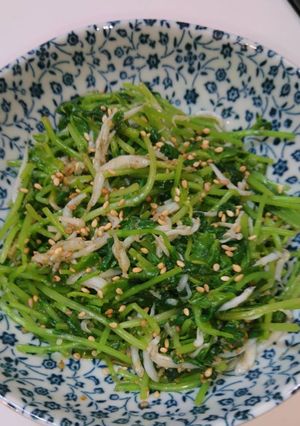 簡単!激ウマ!豆苗としらすのごま和え♪-レシピのメイン写真