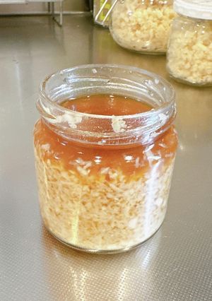 新生姜の鶏ガラだし調味料-レシピのメイン写真