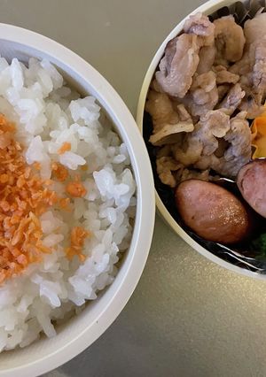 豚肉の塩焼きのお弁当-レシピのメイン写真