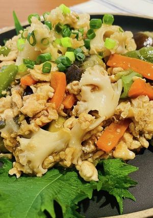 ホホホタケの鶏そぼろ野菜あんかけ-レシピのメイン写真