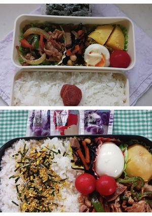 野菜炒め弁当(6.20)-レシピのメイン写真