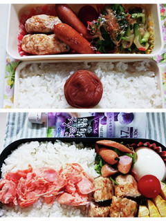 つくねバーグ弁当(6.27)-レシピのメイン写真