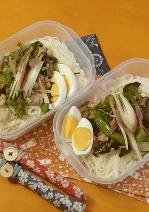 お弁当2023年6月29日-レシピのメイン写真
