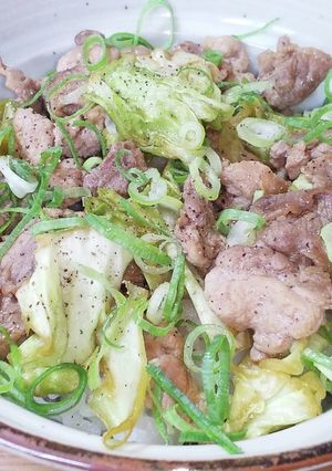 豚肉とキャベツの丼-レシピのメイン写真