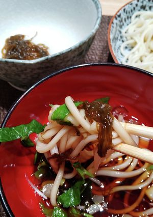 【超簡単】もずく冷やうどん-レシピのメイン写真