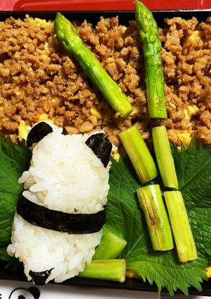6/30 ヨッチャン そぼろ弁当-レシピのメイン写真