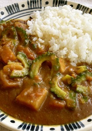 【健康】ゴーヤのカレー-レシピのメイン写真