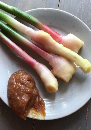 葉生姜の食べ方-レシピのメイン写真