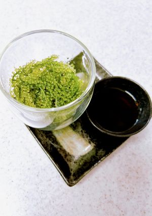 海ぶどうの食べ方　簡単土佐酢の作り方-レシピのメイン写真
