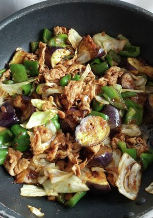 定番レシピ☆ 夏野菜と豚肉の味噌炒め♪-レシピのメイン写真