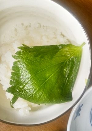 リュウジさんの「大葉の浅漬け」我が家流-レシピのメイン写真
