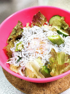 釜揚げしらす冷やしぶっかけうどん-レシピのメイン写真