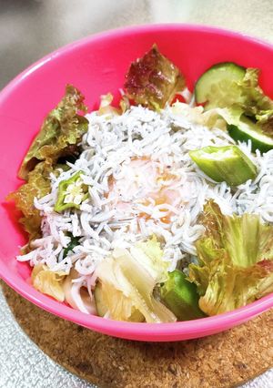 釜揚げしらす冷やしぶっかけうどん-レシピのメイン写真